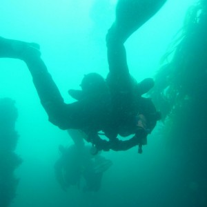 Diver near the wreck