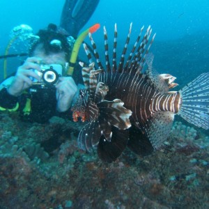Lion Fish and a photographer