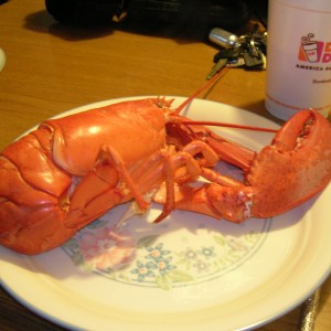 Rockport_Lobster