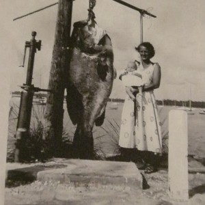 239 lb Warsaw