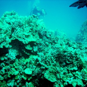 Maui 2009