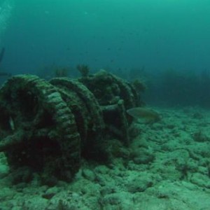 Winch from un-named wreck - French Reef Key Largo