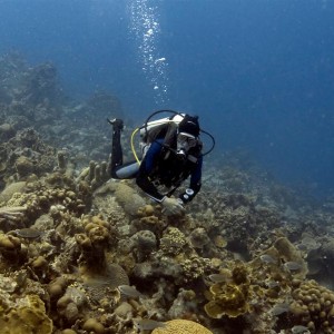 Andreas hovering over his house reef