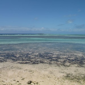 Beach Front