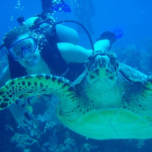 Friendly Hawksbill