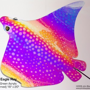 Spotted Eagle Ray made from Dichrolam acrylic