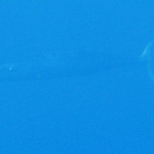 Barracuda