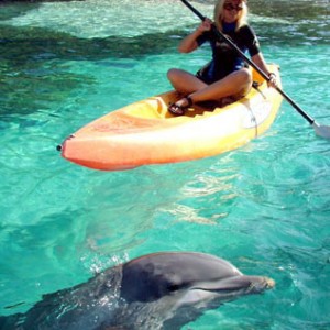 Kayaking in Dolphin Cove