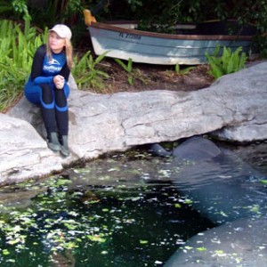 Manatees: The Last Generation?