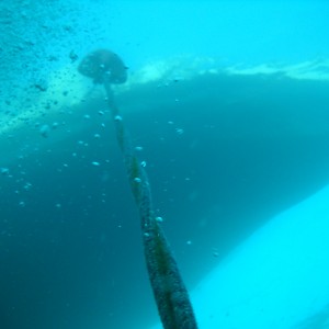 Dive Boat Orkney Isle Oakville Divers