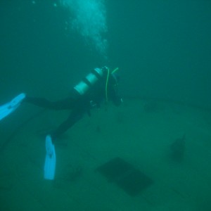 Oakville Diver school student openwater