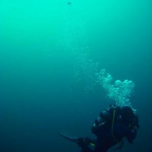 Toronto Scuba Oakville Divers