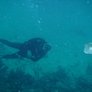 USVI June 2009