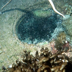 Yongala Wreck Dive - Townsville Australia