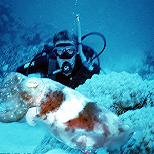 Yongala Wreck Dive - Townsville Australia