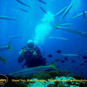 Reefers Dive resort