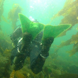 Force Fins and Bull Kelp