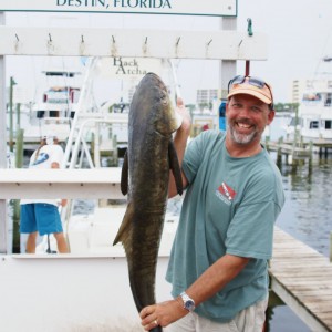 Cobia from charter trip w/Back Atcha