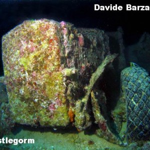 Thistlegorm_2