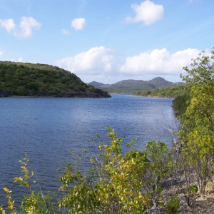 Gotomeyer Lake