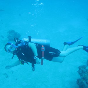 Great Barrier Reef (and Morteton Island a bit)