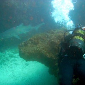 Diving Aliwal - Aug 2009