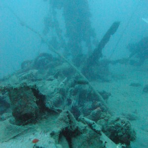 Wreck at Marine Park