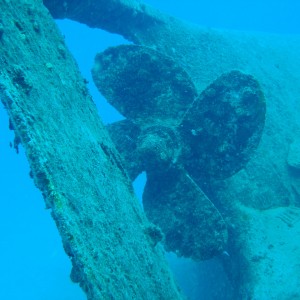 Star Gerren Wreck, Aruba