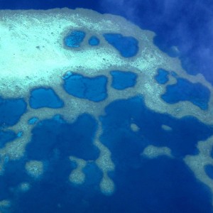 Aerial Reef