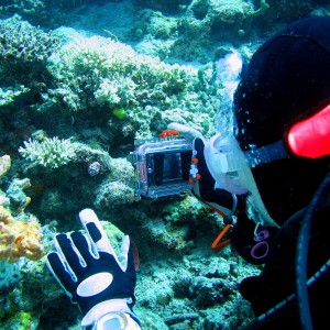 Photo of a Photo