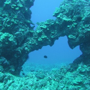 Another lava arch