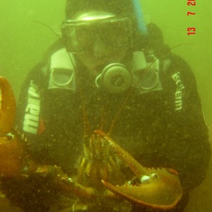 Diver with lobster.