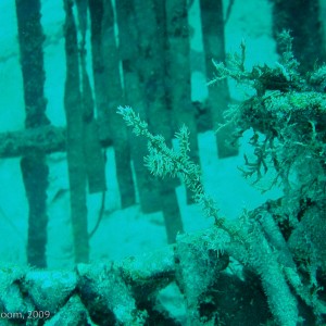 Sipadan and Mabul diving