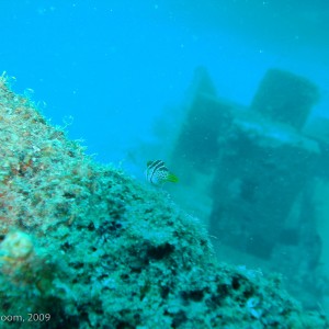 Sipadan and Mabul diving