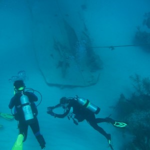 shark_junction_0079