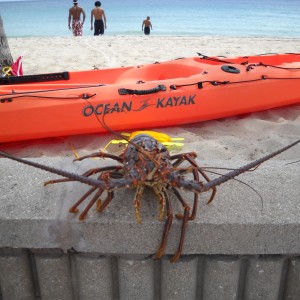 lobster_kayak