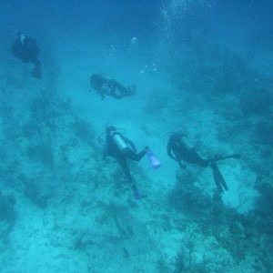 Blue Tang Reef, Long Island, Bahamas