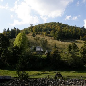 Karpatian landscape