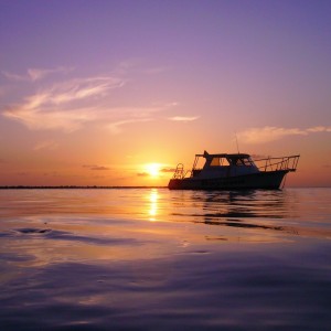 Dive boat at sunset