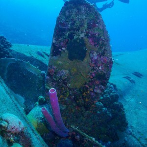 Hilma Hooker propeller & diver