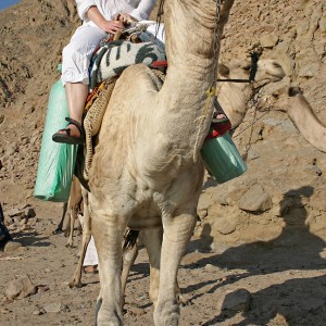 Maja - going diving to Ras Abu Galum