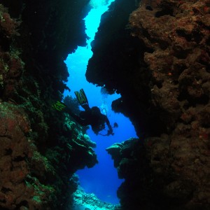 marion reefs