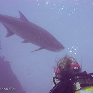 Bonaire Nov. 2009 Buddy Dive & Shore