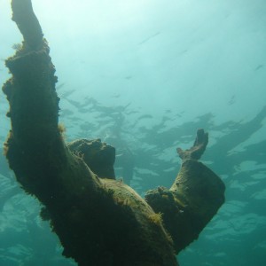 Key Largo Dry Rocks