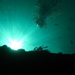 The Wreck of the Benwood