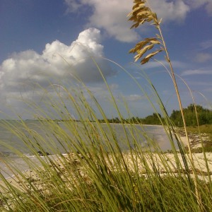 Paradise Cove, Grand Bahama