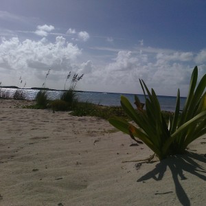 Paradise Cove, Grand Bahama