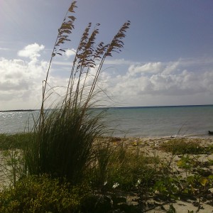 Paradise Cove, Grand Bahama