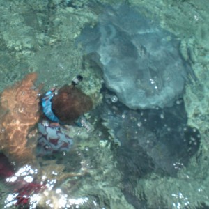 Caye Caulker, Belize