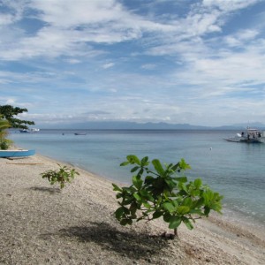 Sogod bay Phillipines